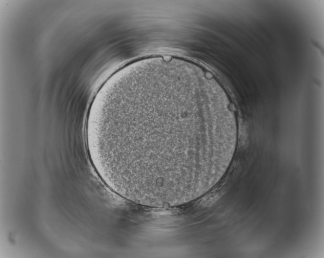 X0000103961199200810311607