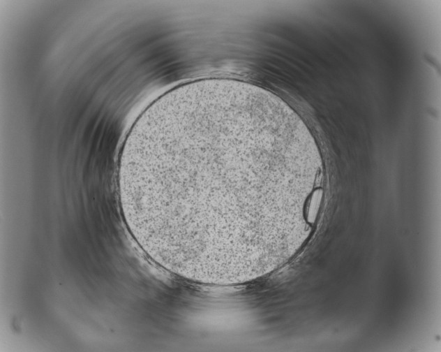 X0000103961200200810311607