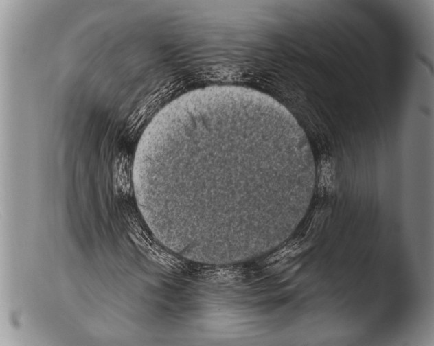X0000103961202200810311606