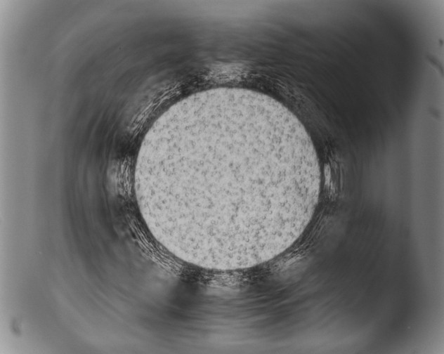 X0000103961203200810311606