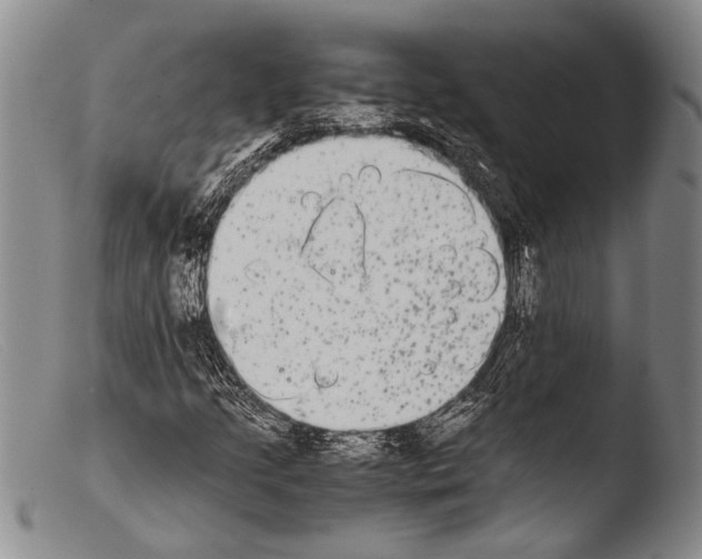 X0000103961205200810311606