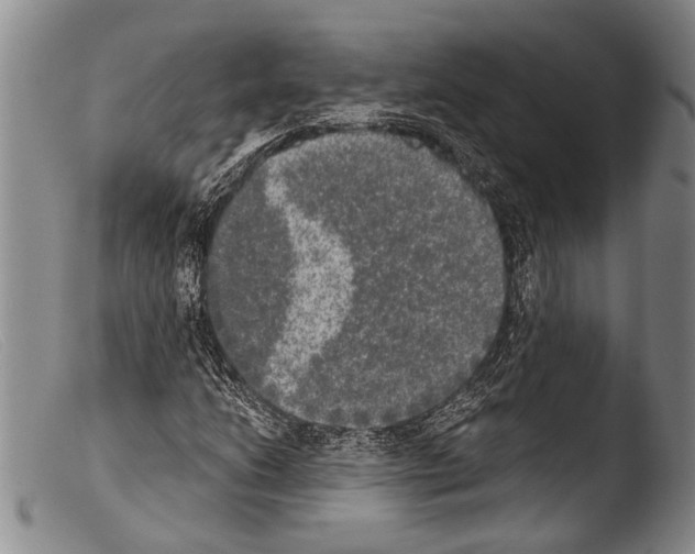 X0000103961206200810311606