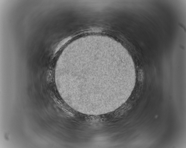 X0000103961208200810311606