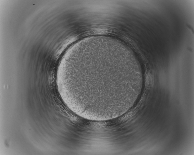 X0000103961210200810311606
