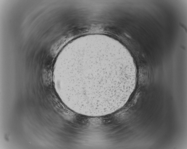 X0000103961212200810311606