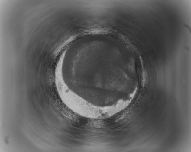 X0000103961213200810311606