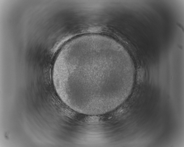 X0000103961214200810311606