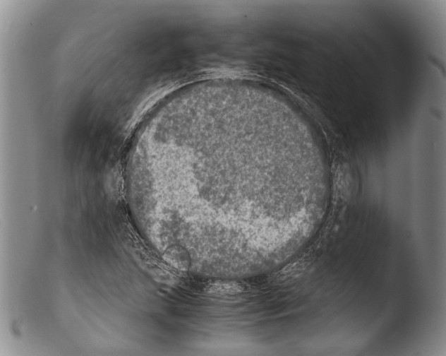 X0000103961215200810311606