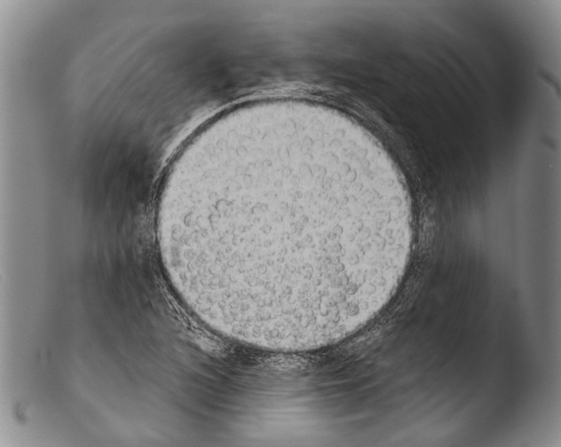 X0000103961216200810311606