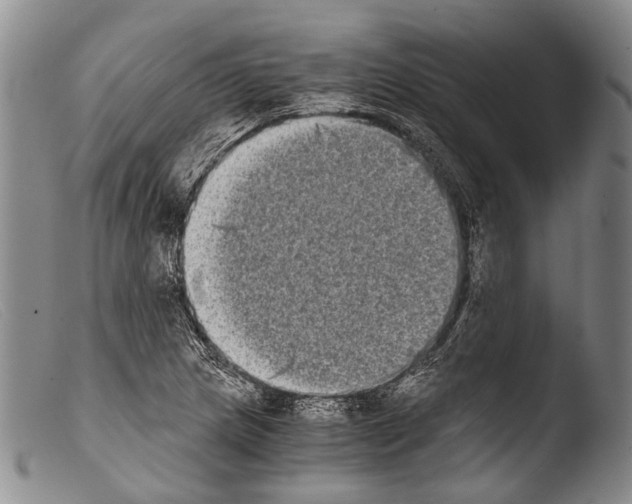 X0000103961217200810311606
