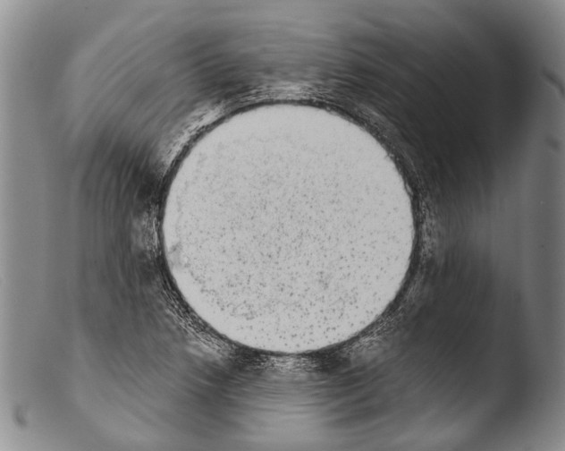 X0000103961218200810311606