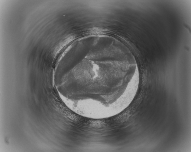 X0000103961219200810311606