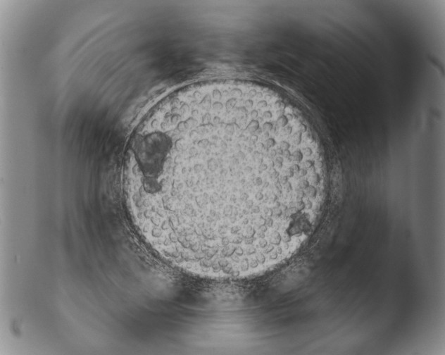 X0000103961220200810311606