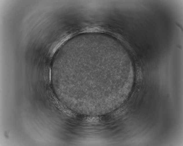 X0000103961221200810311606