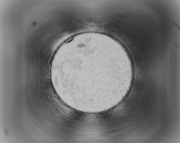 X0000103961222200810311606
