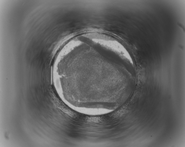 X0000103961223200810311606