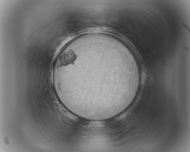 X0000103961224200810311606