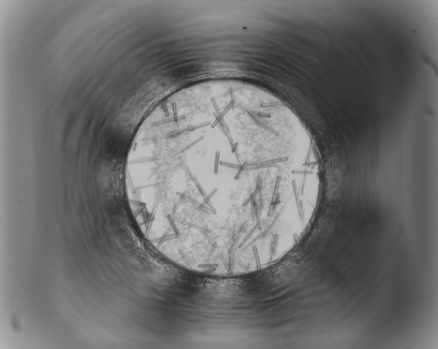 X0000103961225200810311606