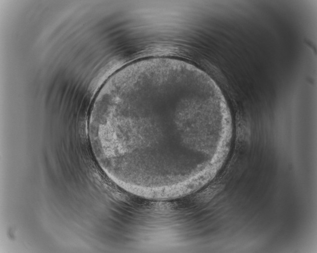 X0000103961226200810311606