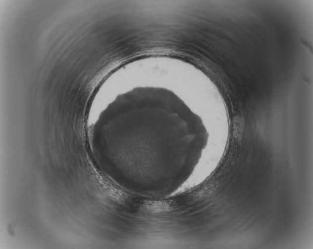 X0000103961229200810311606