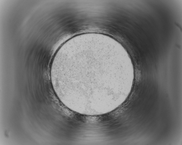 X0000103961230200810311606