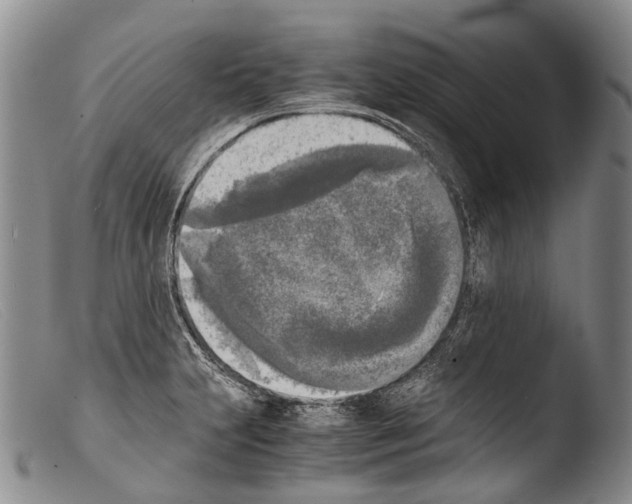 X0000103961231200810311606