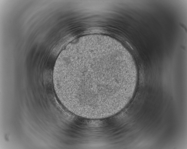 X0000103961233200810311606