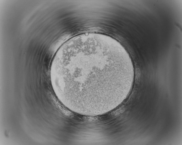 X0000103961234200810311606