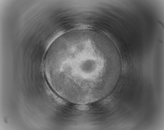 X0000103961235200810311606