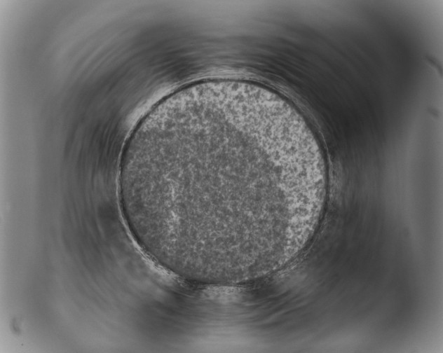 X0000103961237200810311606