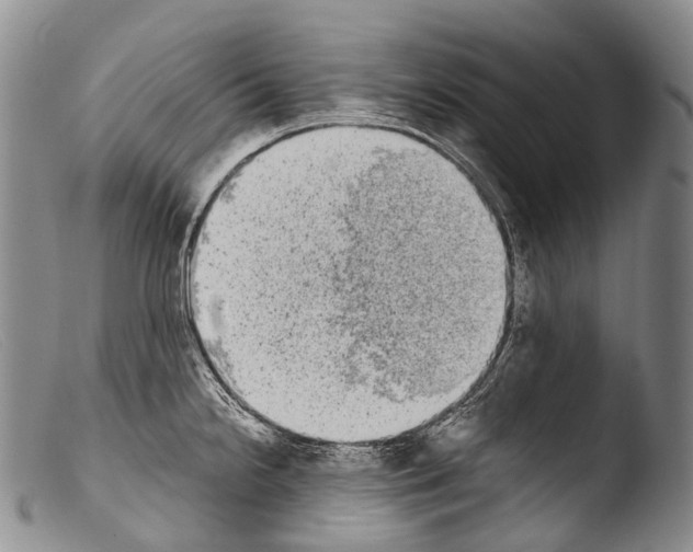 X0000103961238200810311606