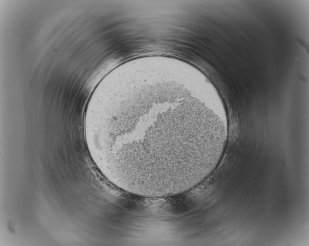 X0000103961242200810311606
