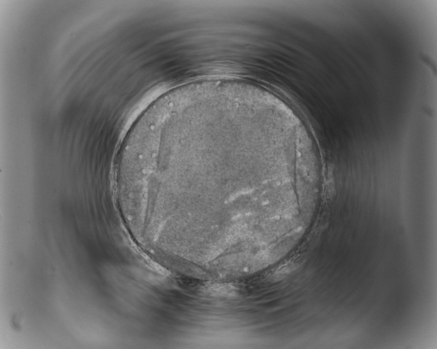 X0000103961243200810311607
