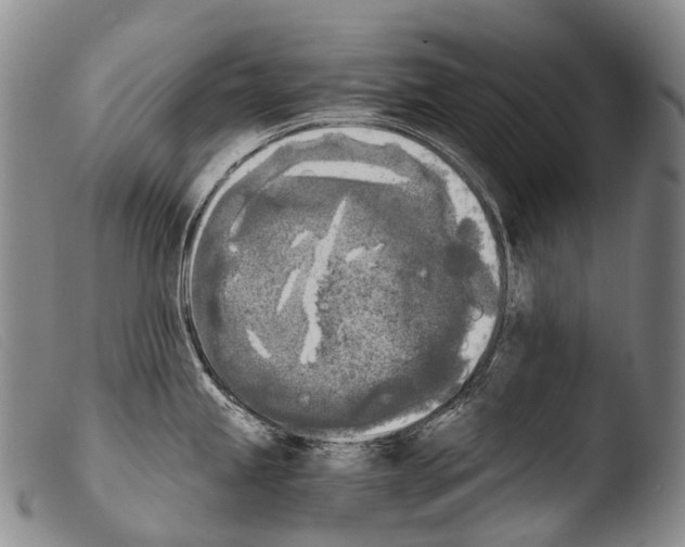 X0000103961245200810311607
