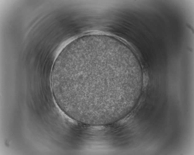 X0000103961247200810311607