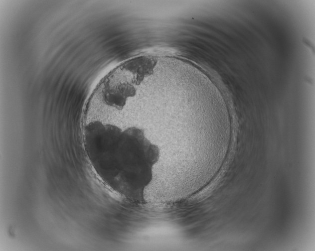 X0000103961248200810311607