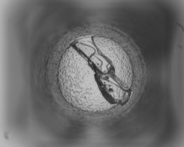 X0000103961249200810311606