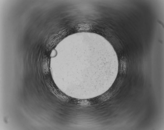 X0000103961250200810311606