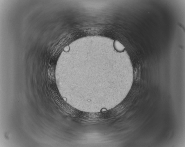 X0000103961251200810311606