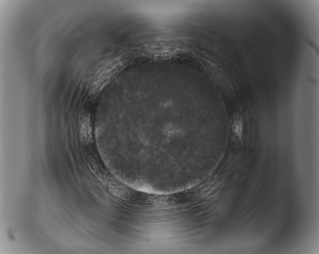 X0000103961252200810311606