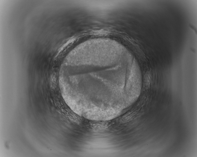 X0000103961254200810311606