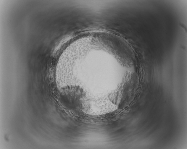 X0000103961255200810311606
