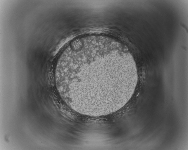 X0000103961256200810311606
