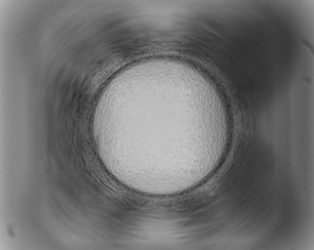X0000103961257200810311606