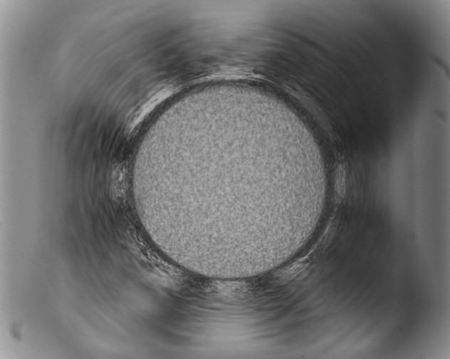 X0000103961258200810311606