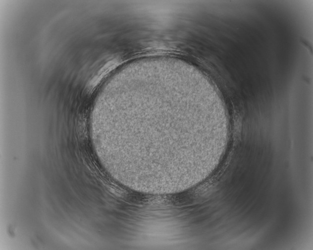 X0000103961259200810311606