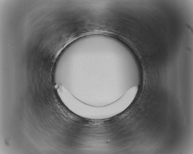 X0000103961260200810311606
