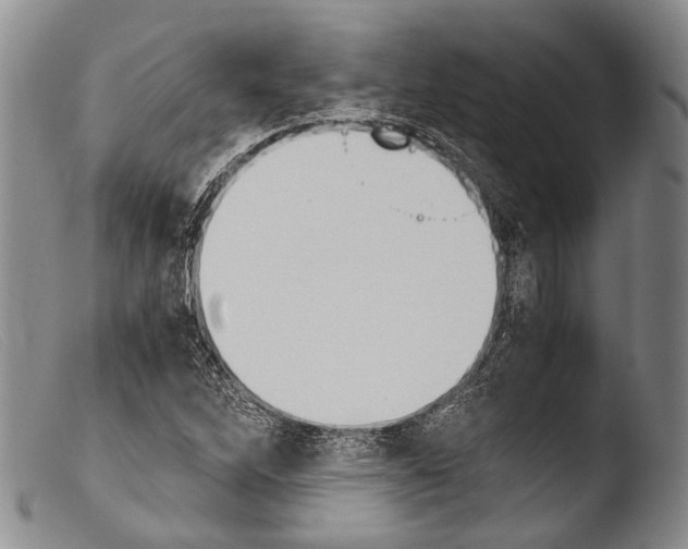 X0000103961262200810311606