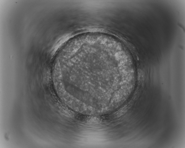 X0000103961263200810311606