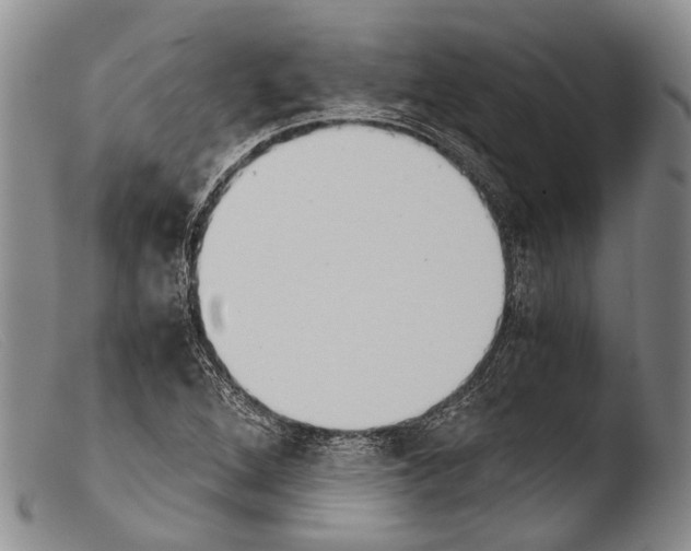 X0000103961264200810311606